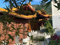 -深圳仙湖植物园