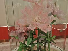 -小董哥烤串(铁西店)