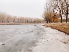 -东坝千亩湖公园