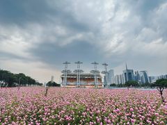 -海心沙亚运公园