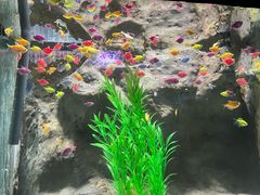 -苏州海洋馆
