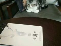 -咖法森林·咖啡  酒吧(天河店)