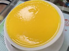 冰糖炖蛋-义顺牛奶公司