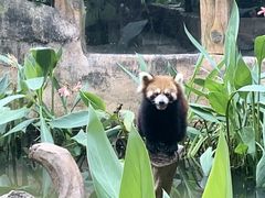 -长鹿旅游休博园