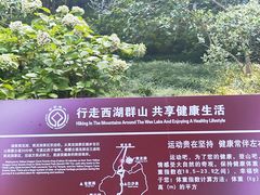 -杭州黄龙洞