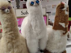 -国药中服免税(北京坊店)