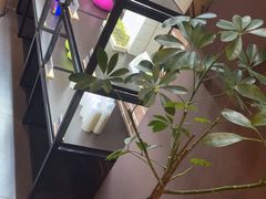 -泰合玺·精油疗愈SPA(南京光环花园城店)