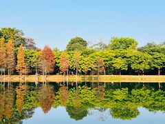 -中国科学院华南植物园