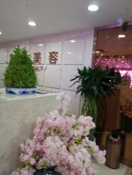 -重庆军美医疗美容医院