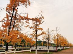 -四川大学(江安校区)