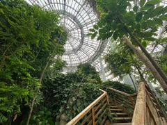 -郑州植物园