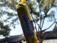 -绍兴鲁迅故里·沈园景区