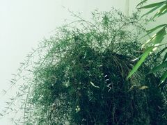 -林则徐纪念馆