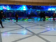 -河南省人民医院(院本部)