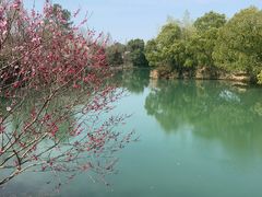 -西溪国家湿地公园