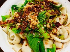 牛肉油泼扯面-马振面(小皮院店)