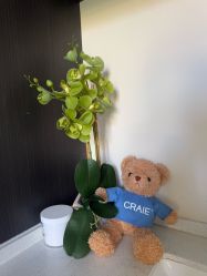 -CRAIE可瑞医美式医美·111SKIN