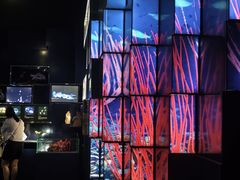 -同济大学四平路校区深海探索馆