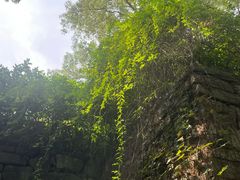 -宁波市保国寺古建筑博物馆