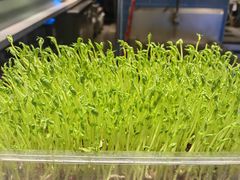 -V-ONE西雅图海鲜自助餐厅(仓山万达广场店)