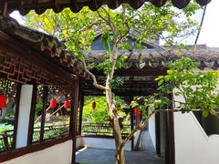 -上海醉白池公园