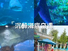 -海合安成都极地海洋公园
