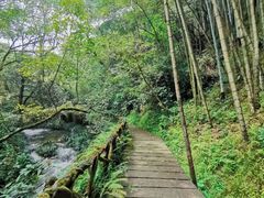 -井冈山风景名胜区