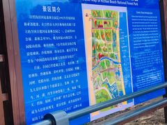 -日照海滨国家森林公园