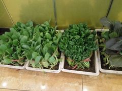 -北塘海鲜·天津菜(大光明桥旗舰店)
