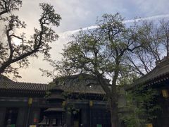-湘子庙