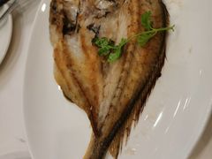 -黄埔华苑酒家(黄埔店)