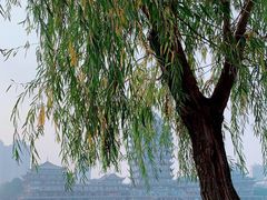 -眉山湿地公园(东坡区)