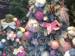 -植物学家的女儿(北马道巷店)