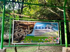 -宁波野生动物园