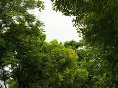 -橘子洲景区