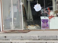 -沈阳奥林匹克体育中心