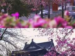 -广州塔