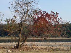 -佰迪乐KTV(阳桥店)