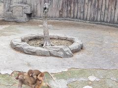-上海野生动物园