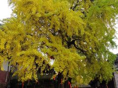 -金堂县云顶石城风景区