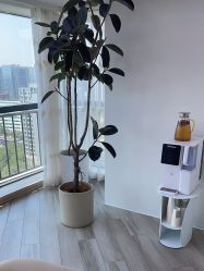 -HEYAN荷妍专业脱毛连锁机构