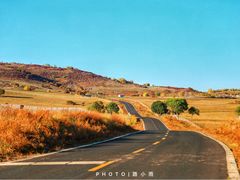 -御道口草原森林风景区