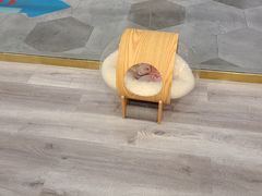 -BABIT巴比特宠物(MOMOPARK店)