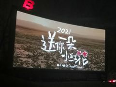 -枫花园汽车电影院(朝阳公园店)