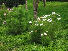 -东疆建设开发纪念公园