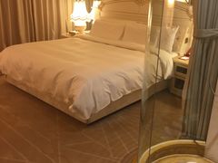 -芜湖白金汉爵大酒店