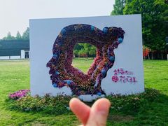 -沙家浜风景区