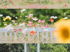 -花开海上生态园