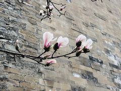 -东华门大街小区