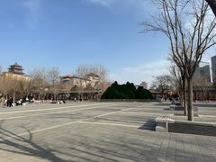 -莲花池公园